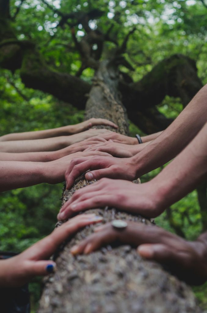 multiple race hands on tree